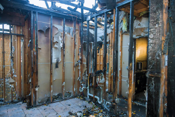 Professional Smoke Damage Removal technician working in Sheffield, IA